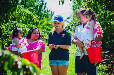 Cherryhill Orchards - Queensland Tourism 1