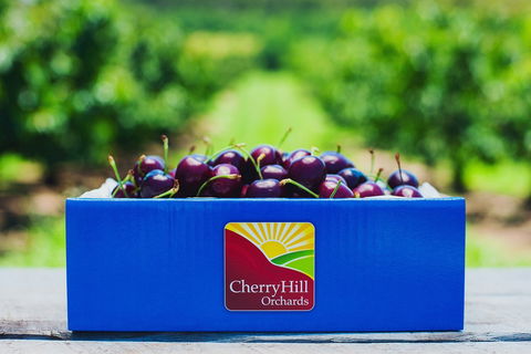 Cherryhill Orchards - Queensland Tourism 8