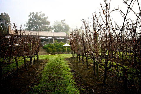 GREENSTONE VINEYARDS - QLD Tourism 4