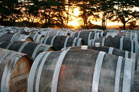 Dromana Estate - QLD Tourism 9