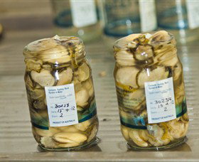 South Pambula NSW QLD Tourism