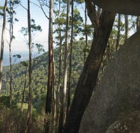 Gulaga National Park - Queensland Tourism