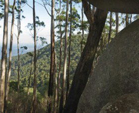 Gulaga National Park - Queensland Tourism 0