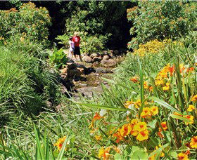 Bonaira Native Gardens - Queensland Tourism 0