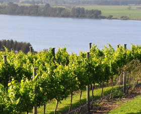 Two Figs Winery - QLD Tourism 0