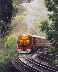 Cockatoo Run - Scenic Tour Train Operated By 3801 Limited - Queensland Tourism 0