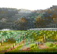 Tilba Valley Wines - Queensland Tourism