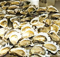 Wheelers Oysters - QLD Tourism