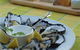 Oyster Shed On Wray Street - thumb 0