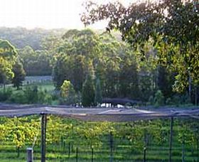 Lyrebird Ridge Organic Winery - Queensland Tourism 0