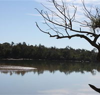 North Coast Holiday Parks Boambee Creek Reserve - Queensland Tourism
