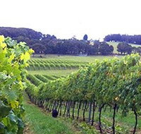 Banjo's Run Winery and Vineyard - QLD Tourism