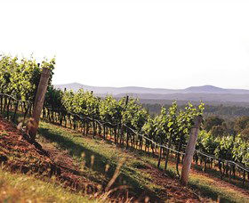 Briar Ridge Vineyard - QLD Tourism 1