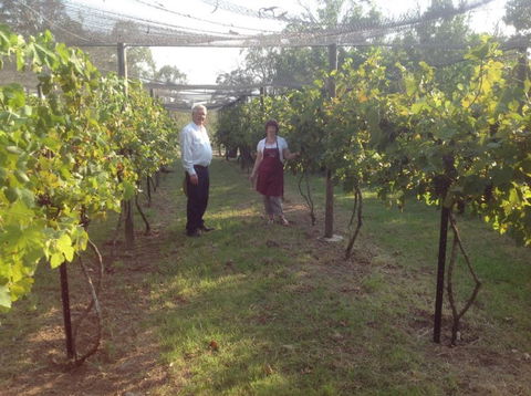 Holland Wines - QLD Tourism 8