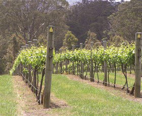 Diamond Creek Estate Cellar Door - QLD Tourism 2