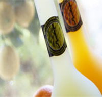 Ambra Limoncello - QLD Tourism