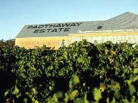 Padthaway Estate Winery - QLD Tourism 0