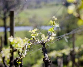 Merricks VIC Queensland Tourism