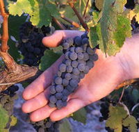 Eagles Rise Wine - QLD Tourism