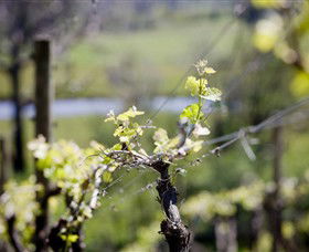 Bellarine Estate - QLD Tourism 0
