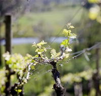 Galli Estate Winery - Queensland Tourism