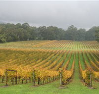 Boat O'Craigo Wines - Queensland Tourism