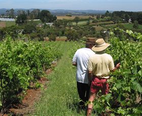 Sir Paz Estate - Queensland Tourism 0