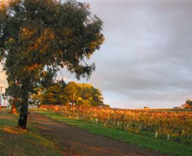 Sir Paz Estate - Queensland Tourism 3