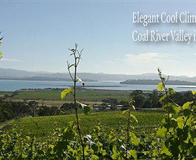 Coal Valley Vineyard - Queensland Tourism 5