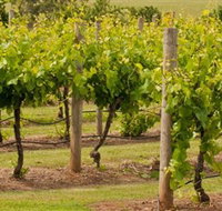 Mt Coghill Vineyard - QLD Tourism