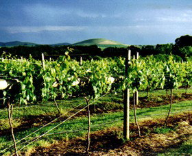 Mt Coghill Vineyard - QLD Tourism 1