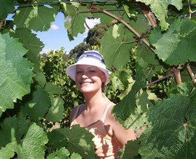 Harcourt Valley Vineyards - QLD Tourism 5