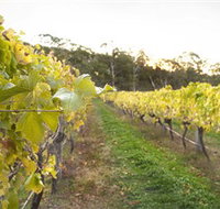 Harcourt Valley Vineyards - QLD Tourism