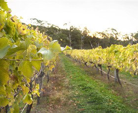 Harcourt Valley Vineyards - QLD Tourism 0