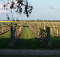Water Wheel Vineyards - QLD Tourism