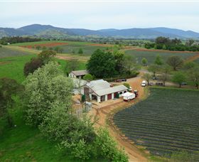 Osbornes Flat VIC QLD Tourism