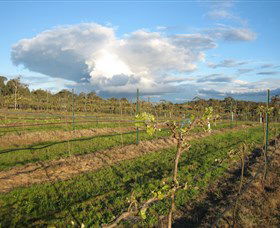 Flyfaire Wines - Queensland Tourism 7