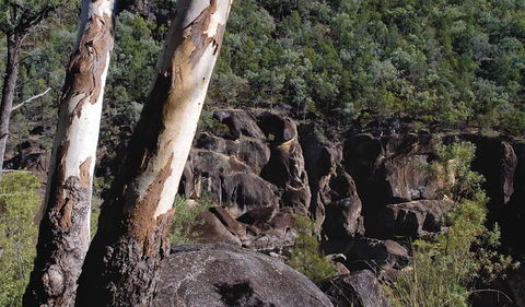 Macintyre Falls Lookout - QLD Tourism 3