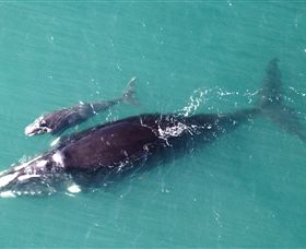 Fazshot Photography - QLD Tourism 0