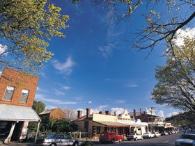 Drysdale Cheeses - QLD Tourism 1