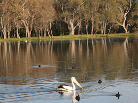 Drysdale Cheeses - QLD Tourism 7