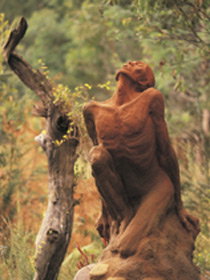 Drysdale Cheeses - QLD Tourism 10