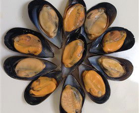Advance Mussel Supply - QLD Tourism 3