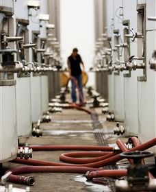 Punt Road Winery - QLD Tourism 5