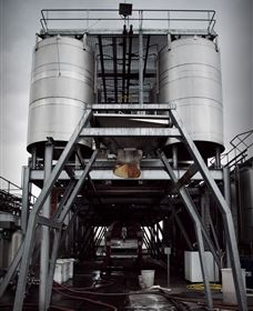 Punt Road Winery - QLD Tourism 8