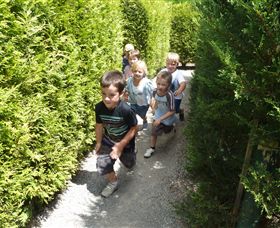 Hedgend Maze And Healesville Laser Sport - QLD Tourism 1