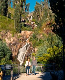 Steavenson Falls Marysville - Queensland Tourism 1