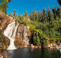 Steavenson Falls Marysville - Queensland Tourism
