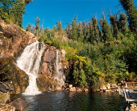 Steavenson Falls Marysville - Queensland Tourism 0