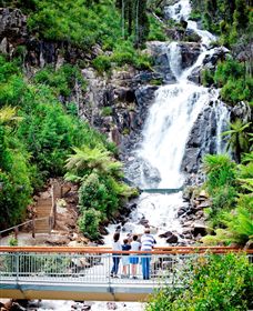 Steavenson Falls Marysville - Queensland Tourism 2